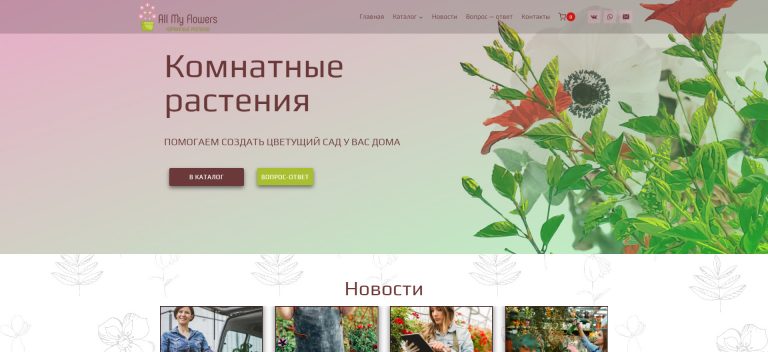 Каталог комнатных растений – all-myflowers.ru